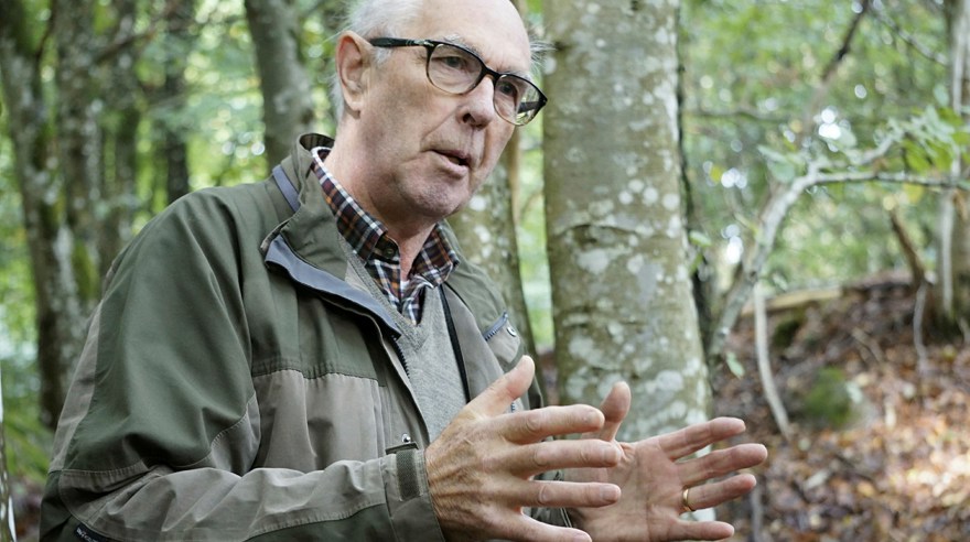 En äldre man i skogen