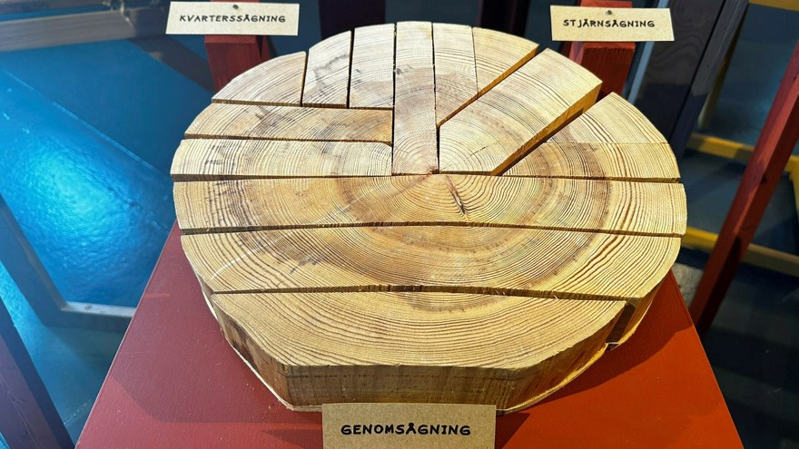 En trädstam i genomskärning som är sågad på olika sätt