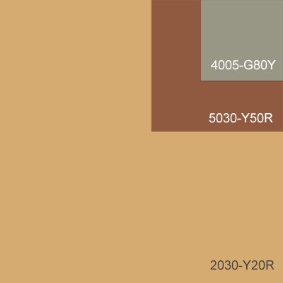 ett färgprov med stora ytan ljust brun, mellanytan rödbrun och den mindre ytan grågrön