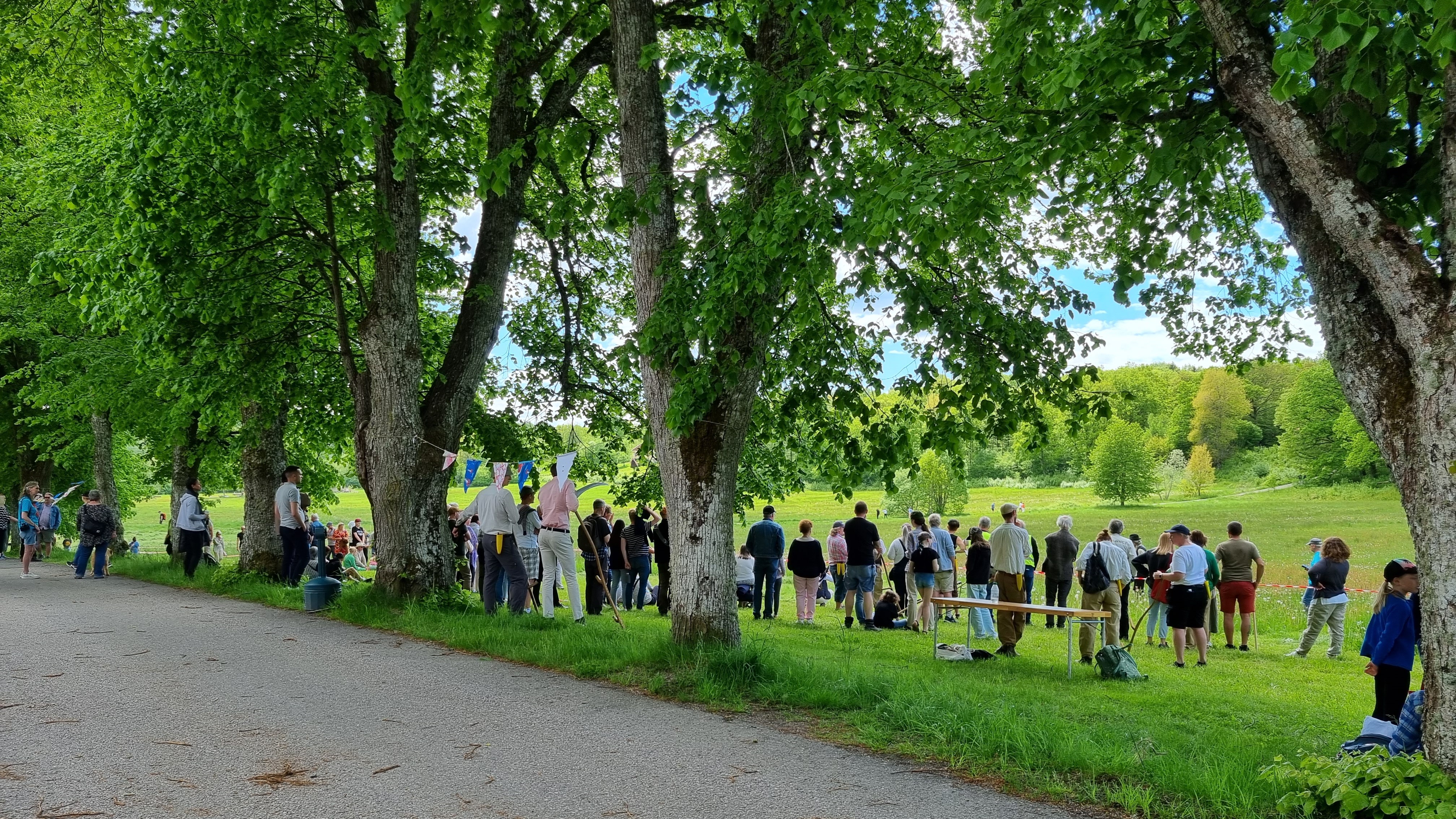 En stor skara människor står på en gräsyta. I bakgrunden sträcker sig ytan långt ut mot en skog. I förgrunden står en rad med träd och närmast i bild en asfalterad vägbit.