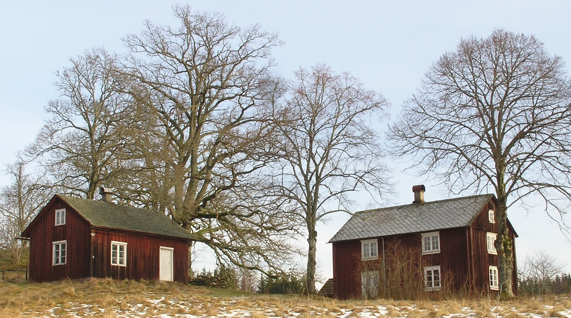 två röda hus med skiffertak i skir vårsol och träd i bakgrunden