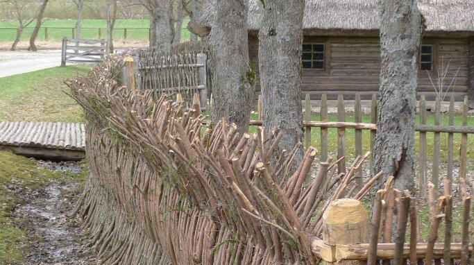 En bild som ligger i bildspelet